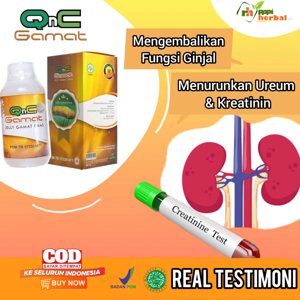 OBAT PENURUN UREUM DAN KREATININ TINGGI, MENSTABILKAN & MENORMALKAN FUNGSI GINJAL TANPA CUCI DARAH