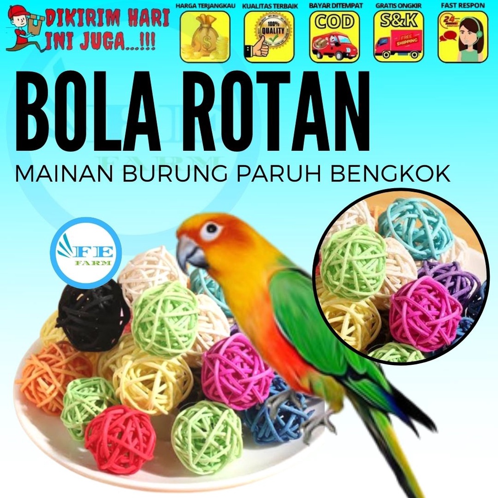 10pcs Bola Rotan Rattan Ball 3cm Mainan Gigit Burung Hewan Peliharaan FEFARM