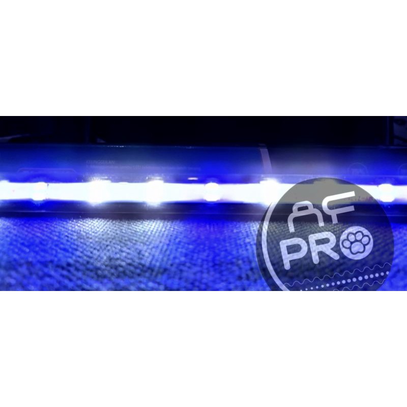 PROMO MURAH Lampu LED celup Aquarium SAKKAI PRO T4 2LED 20