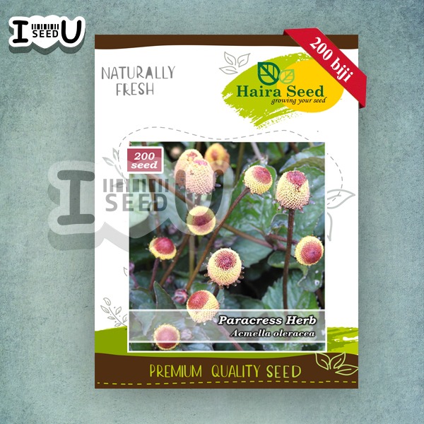 Haira Seed BIbit-Biji Herbal Paracress