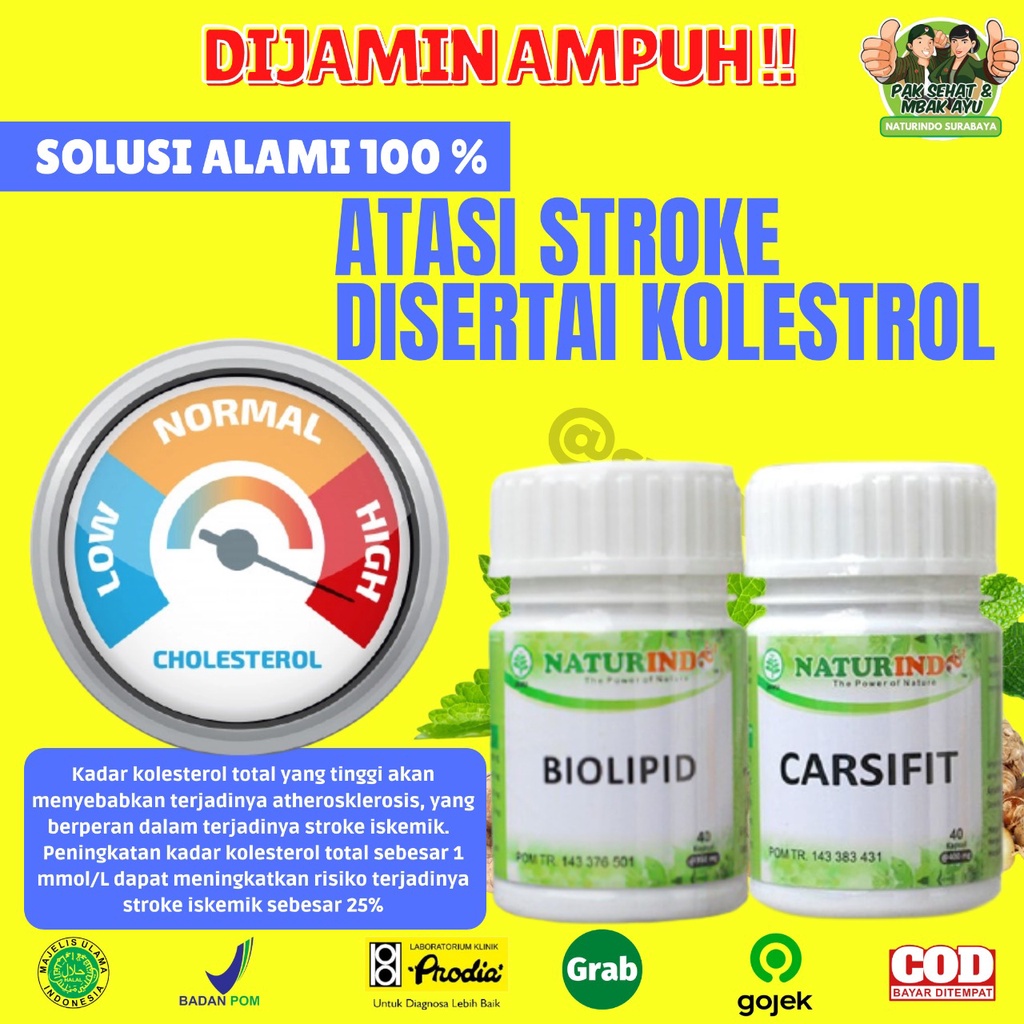 Obat Penurun Kolestrol Kolesterol Tinggi 250 Asam Urat Obat Herbal Penurun Kolestrol Jahat Darah Tinggi Obat Penghancur Lemak Darah Herbal Ampuh Menurunkan Kolesterol Bpom Jamu Kolestrol Stroke Jantung Koroner Tradisional Biolipid Naturindo Surabaya-KOLESTROL+STROKE