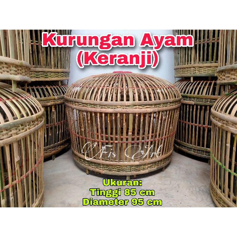 Kurungan Ayam Jago