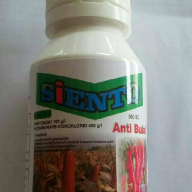 Fungisida Anti Jamur Tanaman Jagung Dan Cabe Shopee Indonesia
