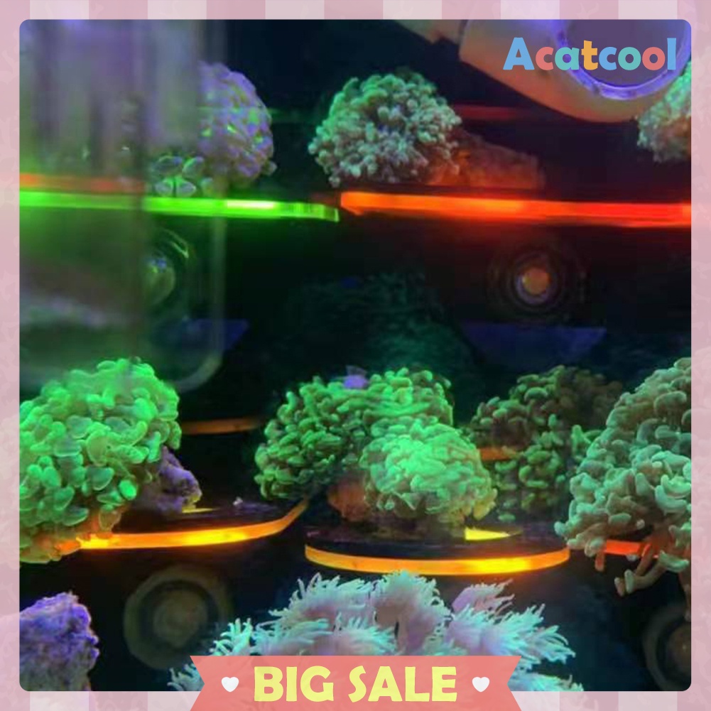 Fish Tank Fluorescence Coral Frag Rack Aquarium Reef with Plug Holder Stand