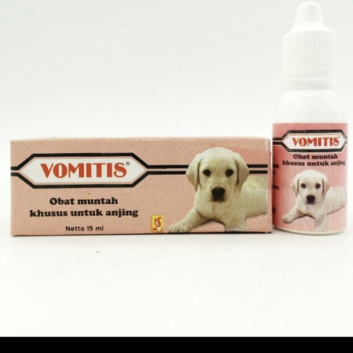 Vomitis obat muntah anjing