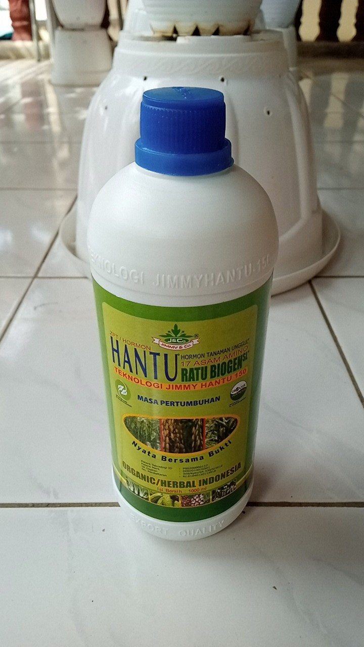 Pupuk Jimmy Hantu Jago Tani Zpt Ratu Biogen 1000 Ml Hormon Tanaman Unggul