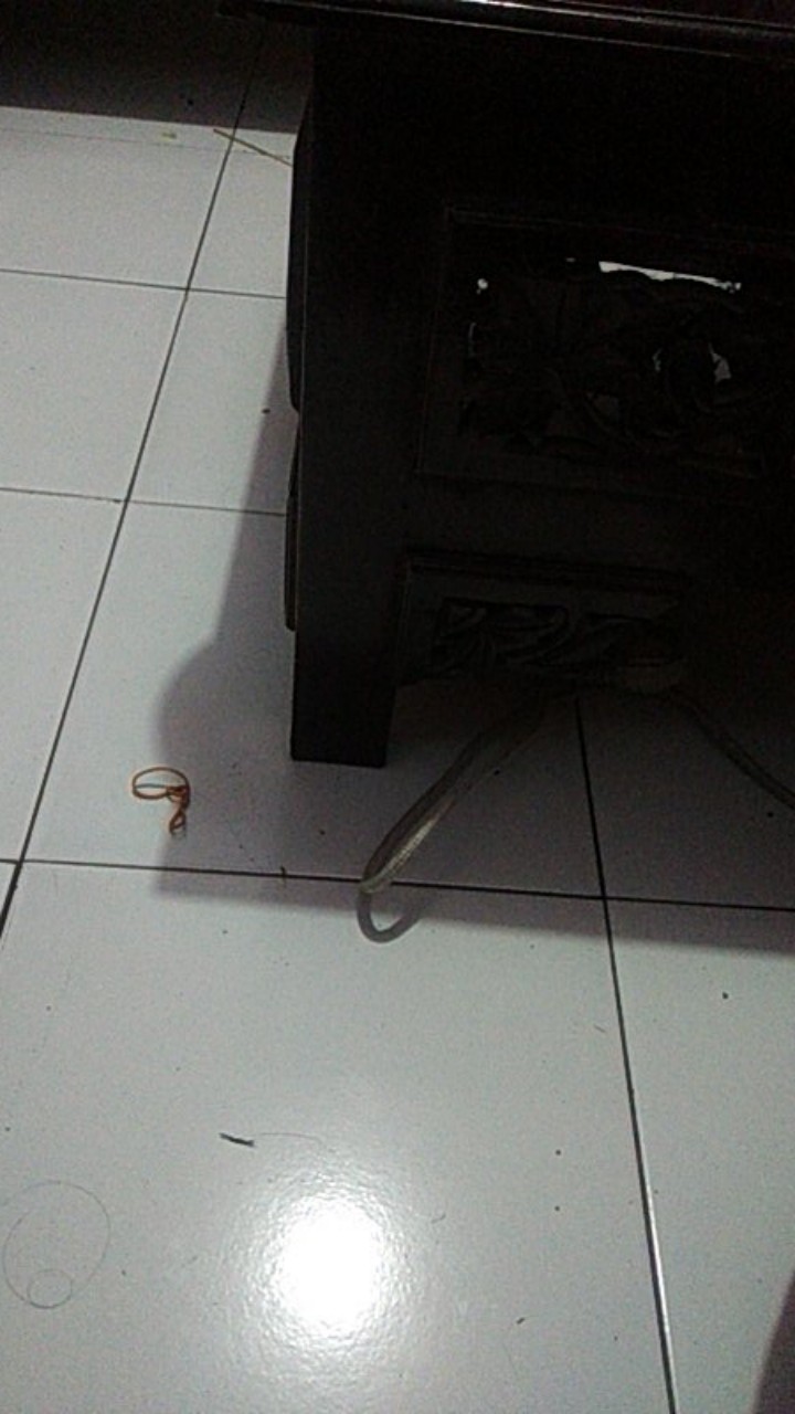 Pledge Perawatan Furniture Aerosol 350 Ml