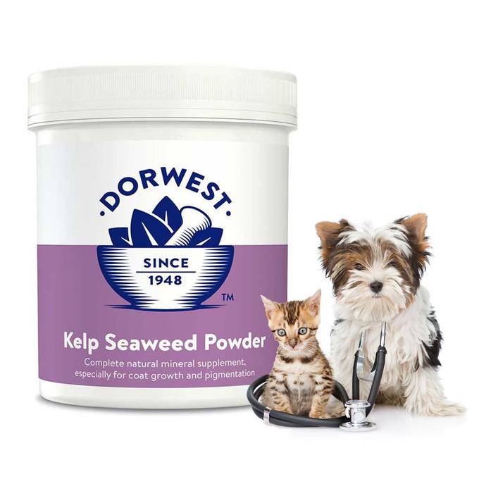 

Dorwest Kelp Seaweed Powder 500