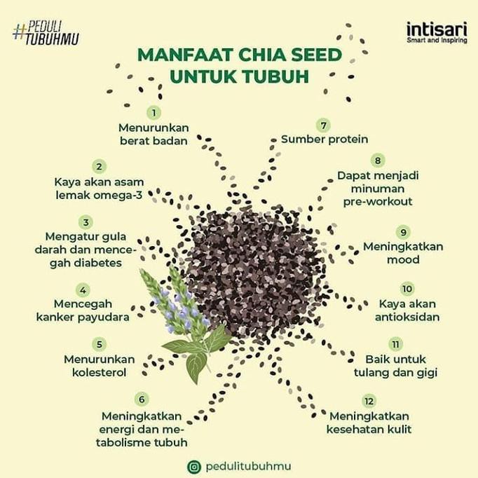 

A4709Z7A Chia Seeds 250 Gr Chia Seed Organik Mexico Primenutri S0Asu