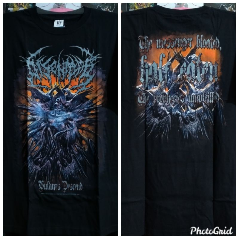 Ts disentomb - vultures