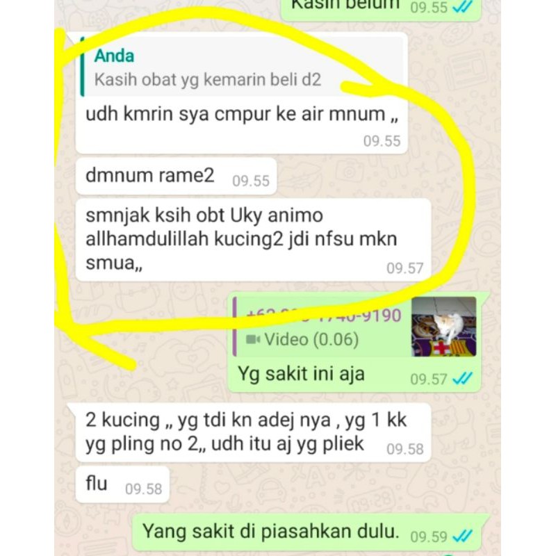 Vitamin Nafsu Makan Kucing Suplemen Bulu Rontok Menyusui Kitten Kucing Hamil uky Amino 30ml