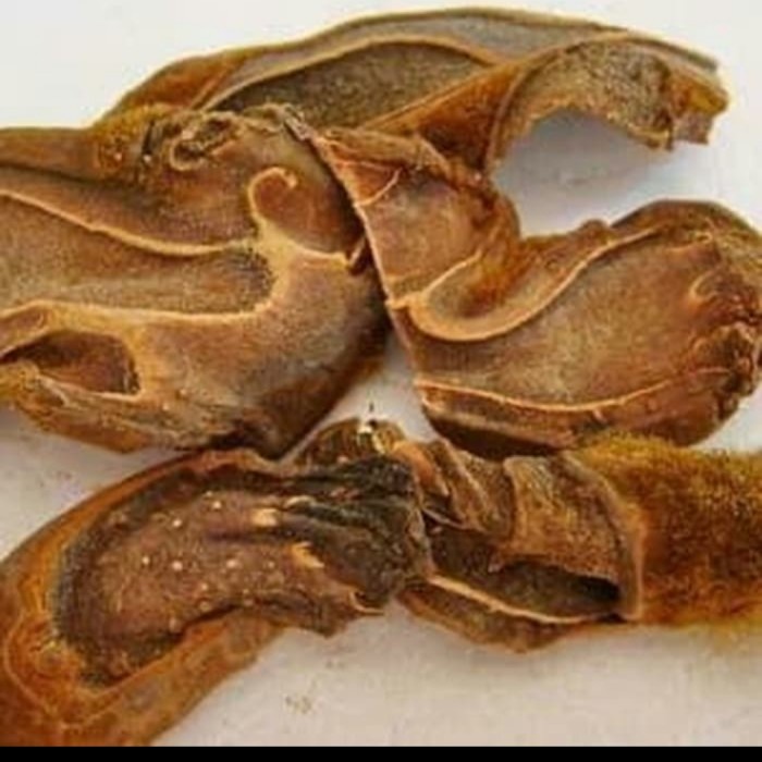 300 Gram gou ji cibot cibotium rhizoma