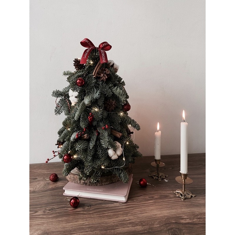 Real Christmas Tree/Fresh Nobilis/Pohon Natal Asli