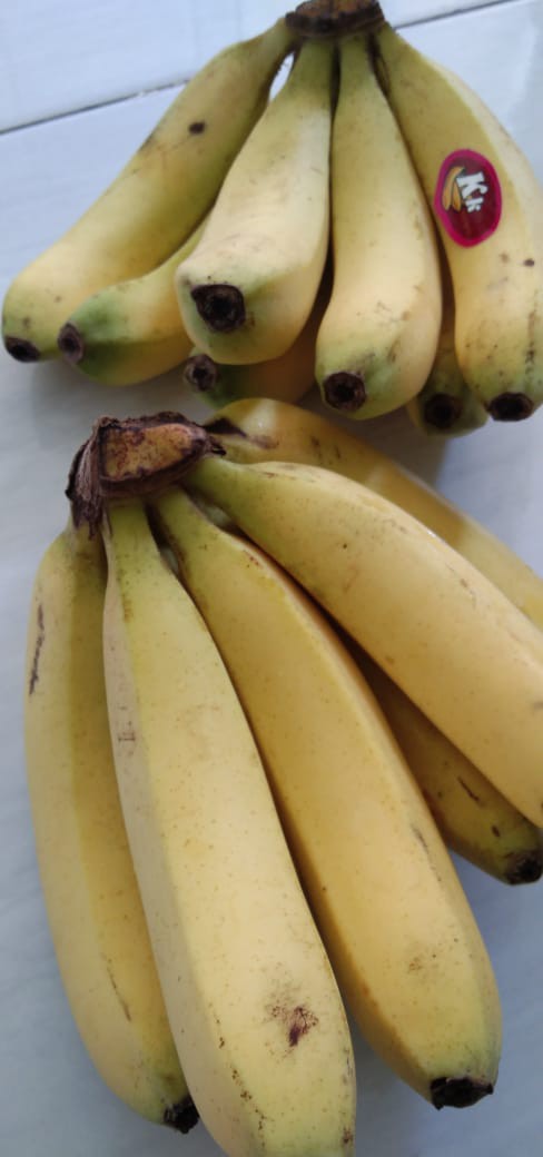 Pompa Pcp Murah Barracuda 4500psi Stainless Steel