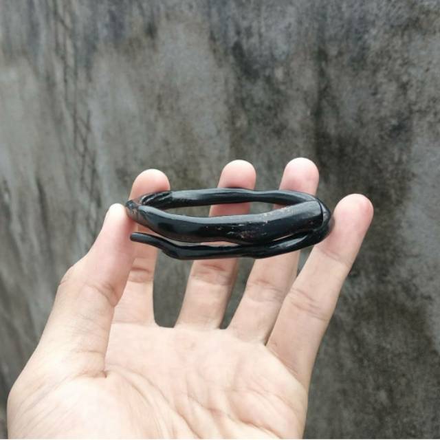  Akar  Bahar  Hitam Lentur Original Berkuwalitas Shopee 