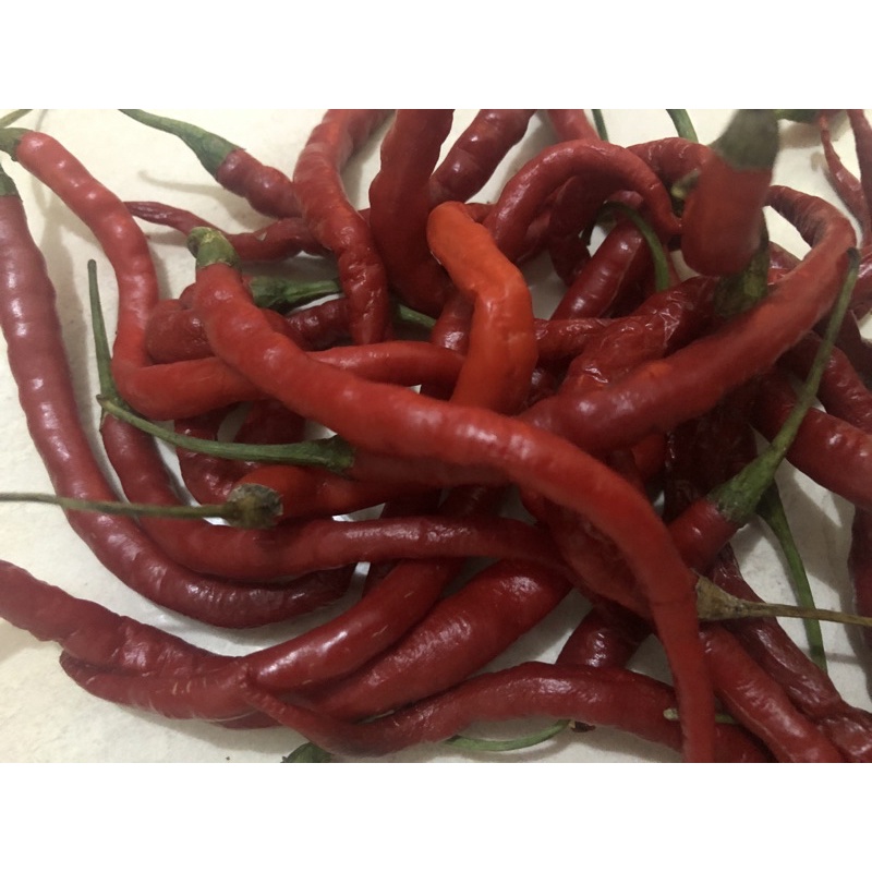 

Cabai Merah Keriting 100 gram