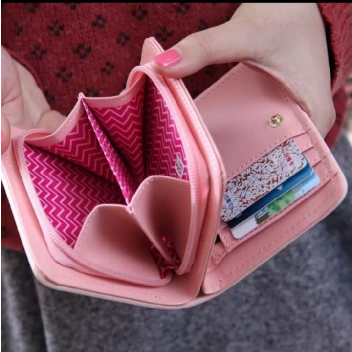 dompet piita lippat