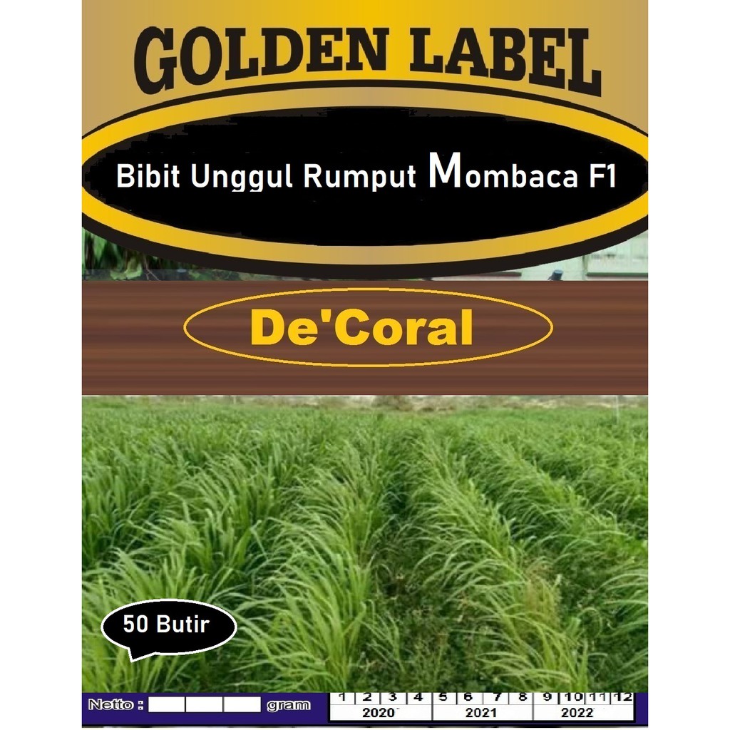 Bibit Unggul Rumput Mombaca F1 | Benih Rumput Mombaca F1