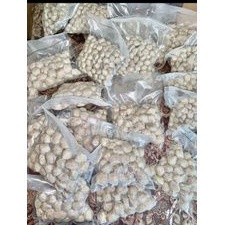 

PENTOL SETAN FROZEN ORI ISI 100 PCS MURAH