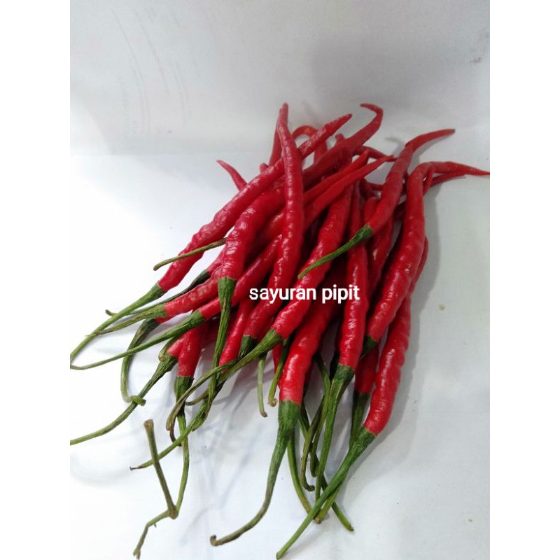 

cabe merah keriting