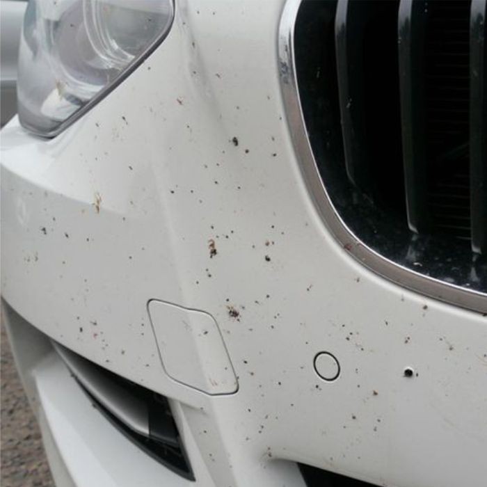 Pembersih Noda Mobil Aspal Getah Bekas Lem Tar Remover Kingpolishes