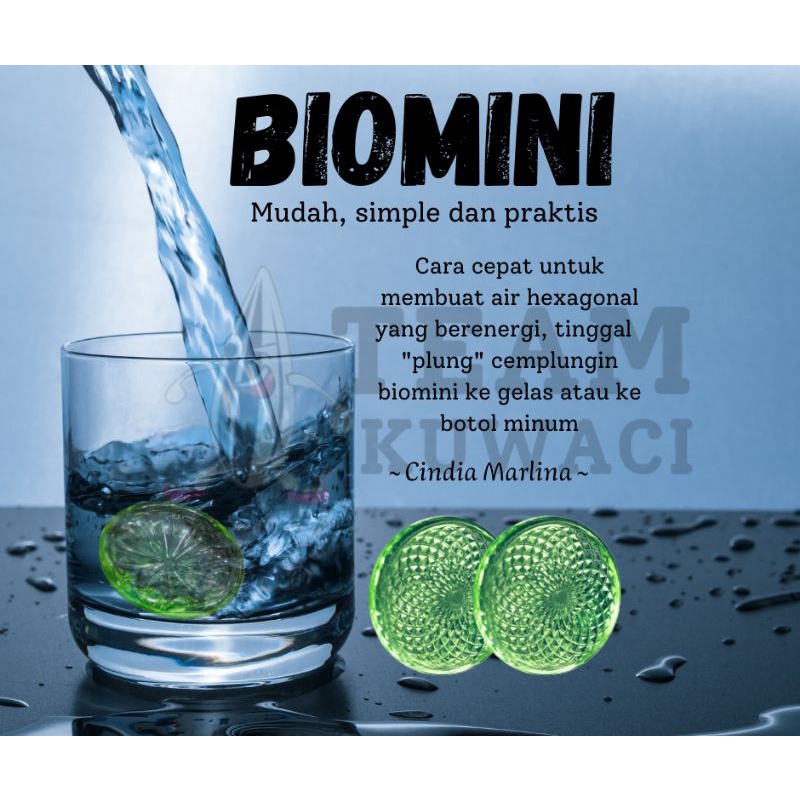 BIOGLASS MINI (BIOMINI) ORIGINAL MCI