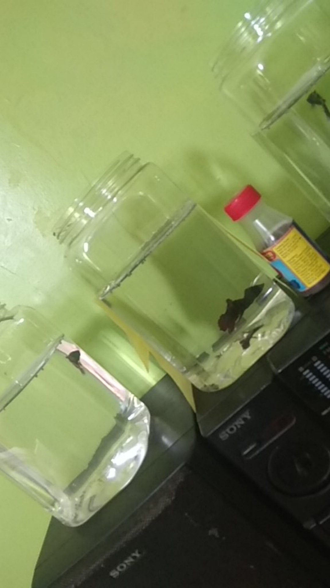 Termurah Toples Kotak Tinggi 2 Liter / Toples Cupang Khusus Gojek/grab