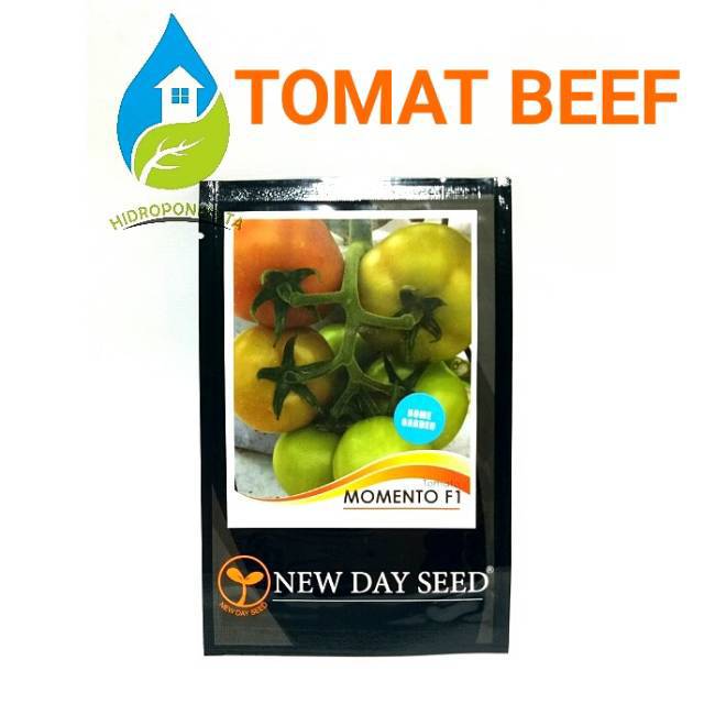 NDS - benih TOMAT BEEF MOMENTO isi 25 biji - tomat daging - new day seed