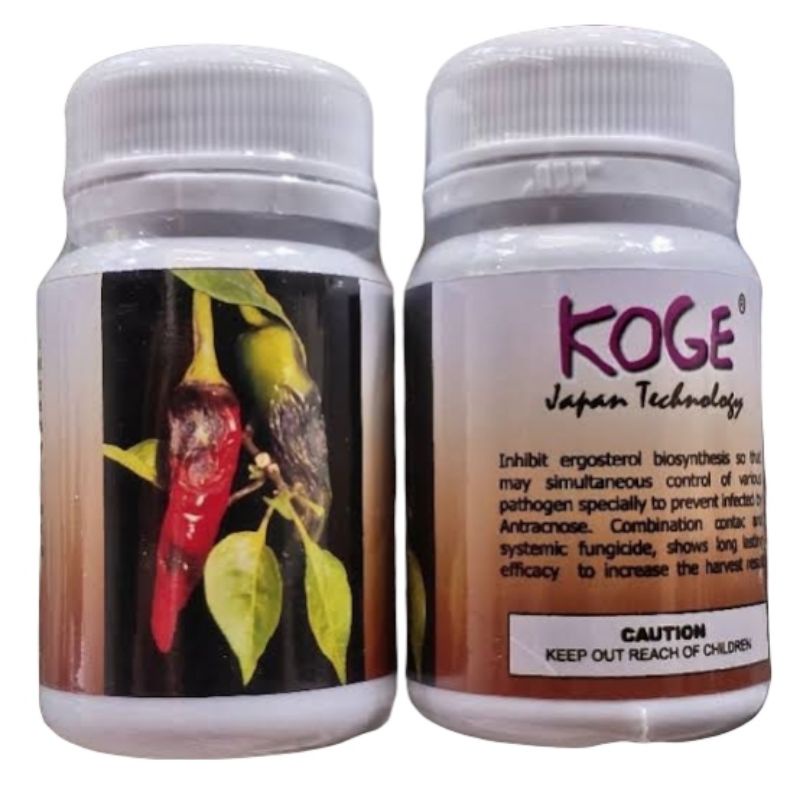 KOGE Obat Anti Busuk Cabe 50gr