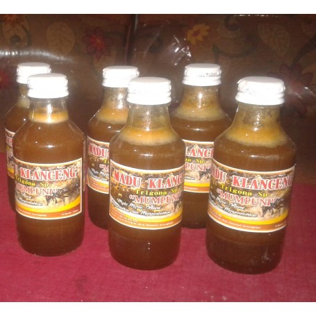 

MADU KLANCENG ATAU TRIGONA ASLI TANPA CAMPURAN MURAH ISI 150 CC PERBOTOL