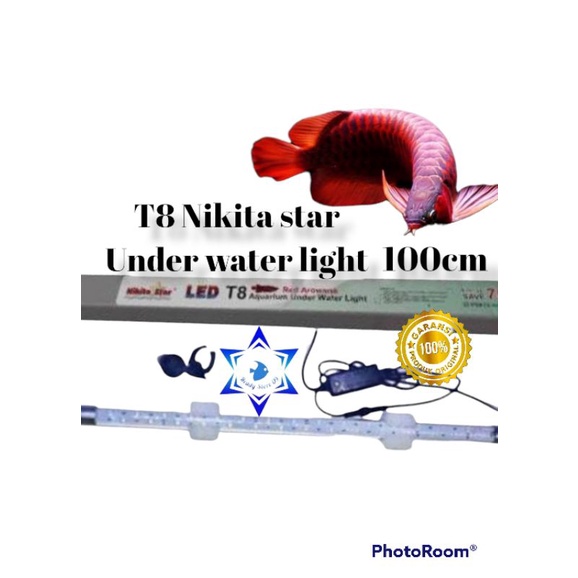 lampu tenning arowana 100cm t8 nikita star lampu led tanning arwana nikita star 100cm