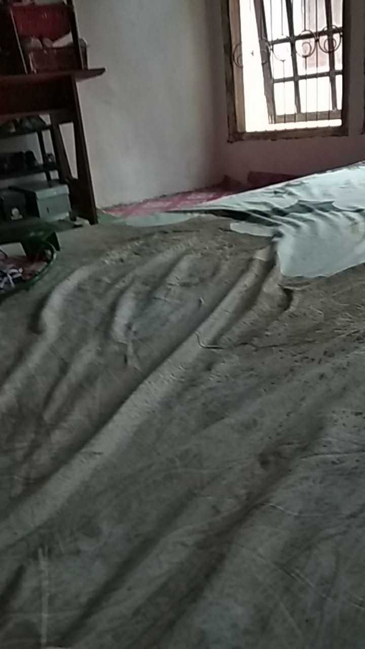 Kintakun Isthana - Sprei Kintakun Dluxe 180x200 - Elmira/logan/mustache/rainbow/universe/alexa