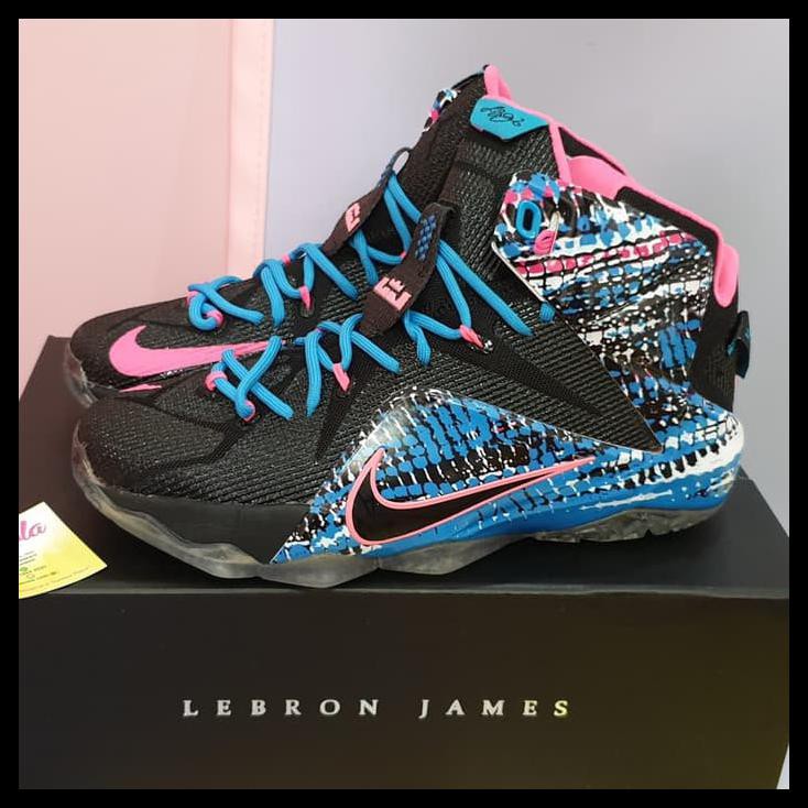 nike lebron 12 23