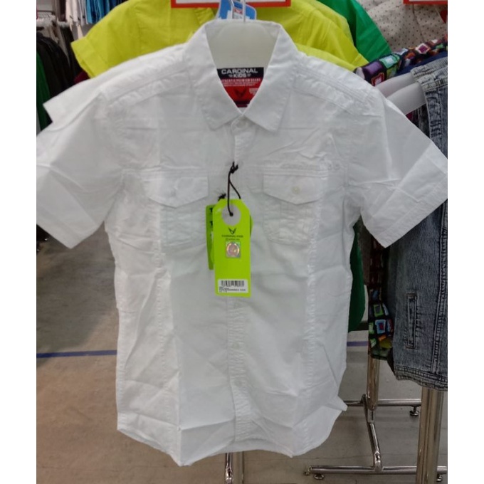 kemeja cardinal kids original