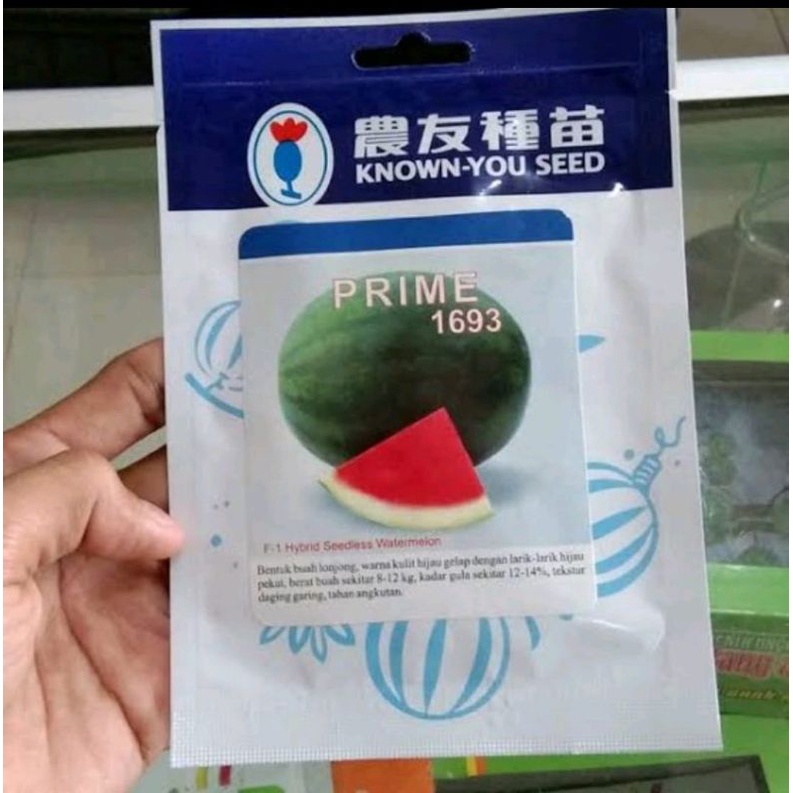 benih bibit semangka berkualitas PRIME benih pilihan known you seed 2024