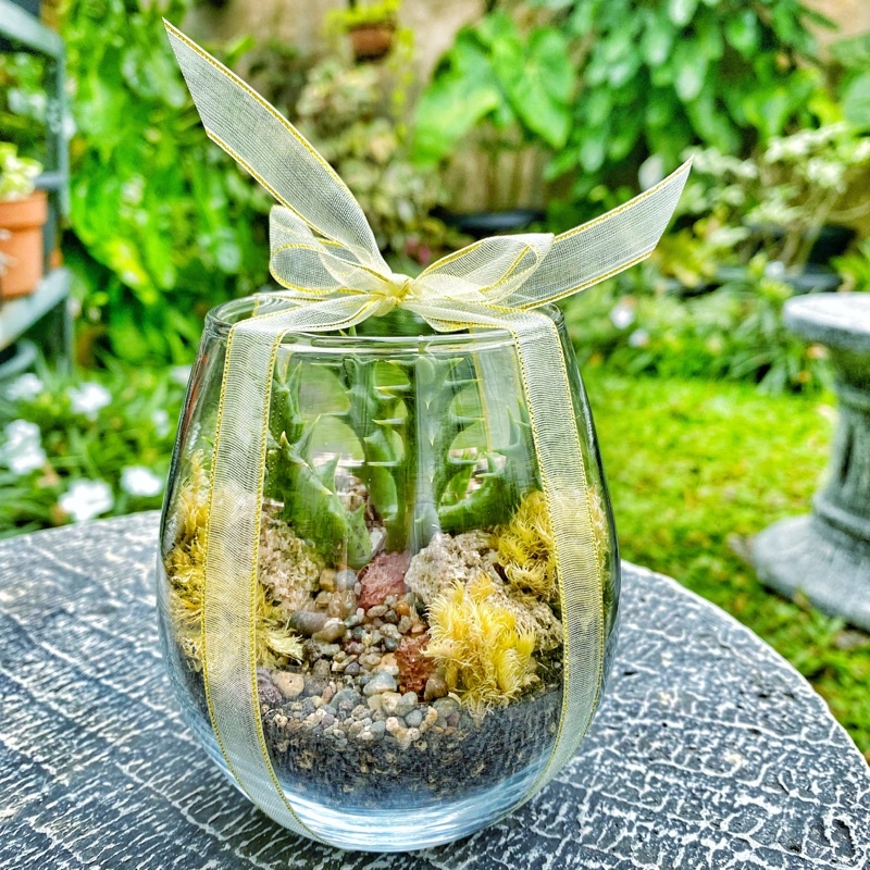 Terrarium wine glass Hampers, Kado