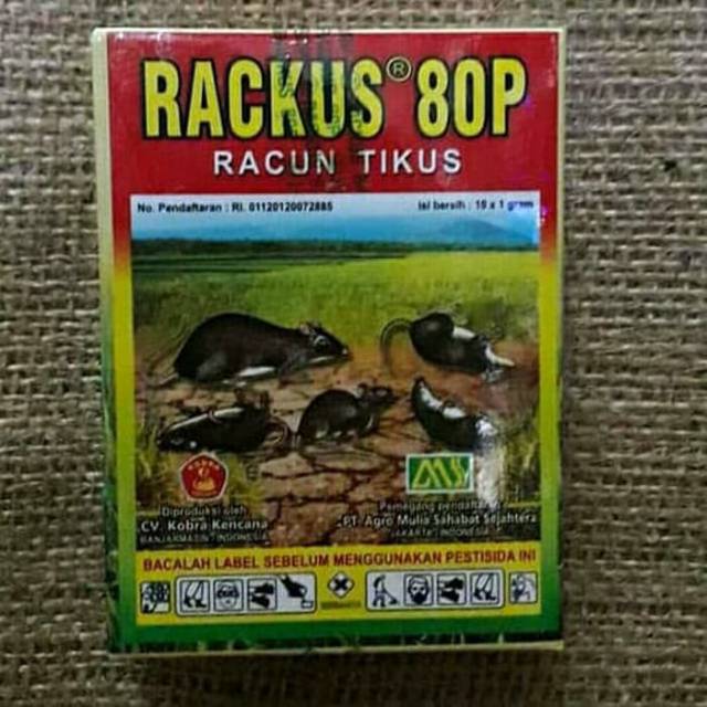 Racun tikus rackus 80P racun tikus tabur