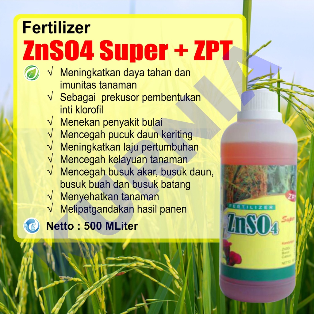 cair Besar pupuk znso4 super zet en pupuk cair tanah asem ,obat tanaman padi merah Pupuk ZnSO4 Cair plus ZPT Zn Cair Mikro Zink Fertilizer
