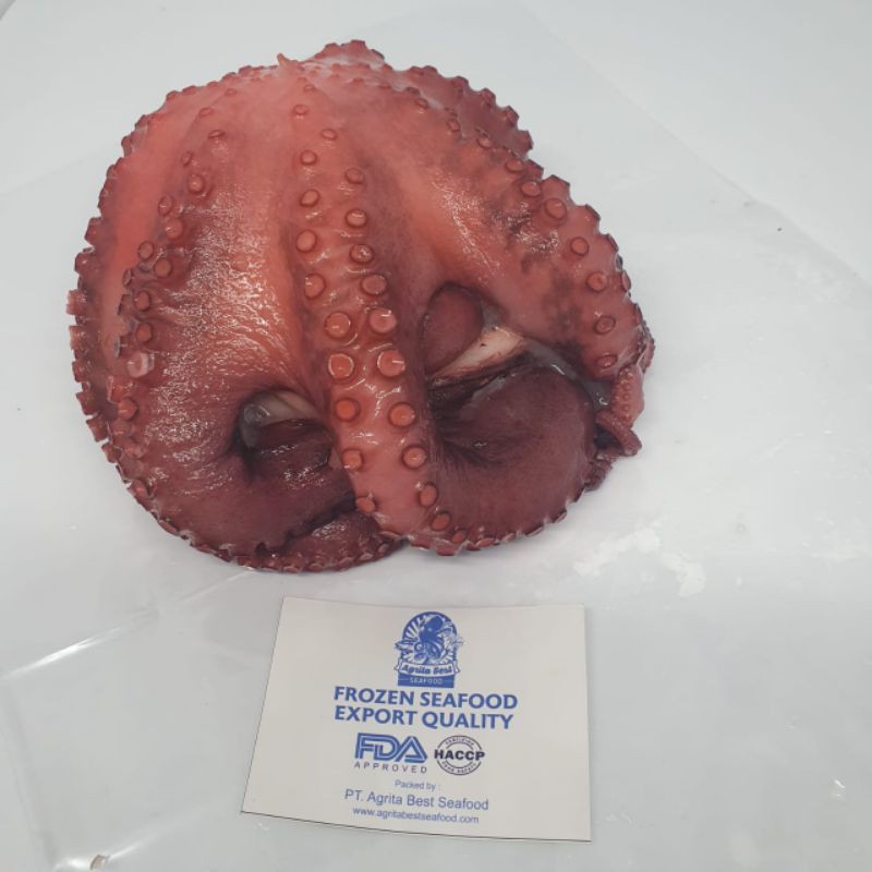 

FrozenOctopusFlowercook