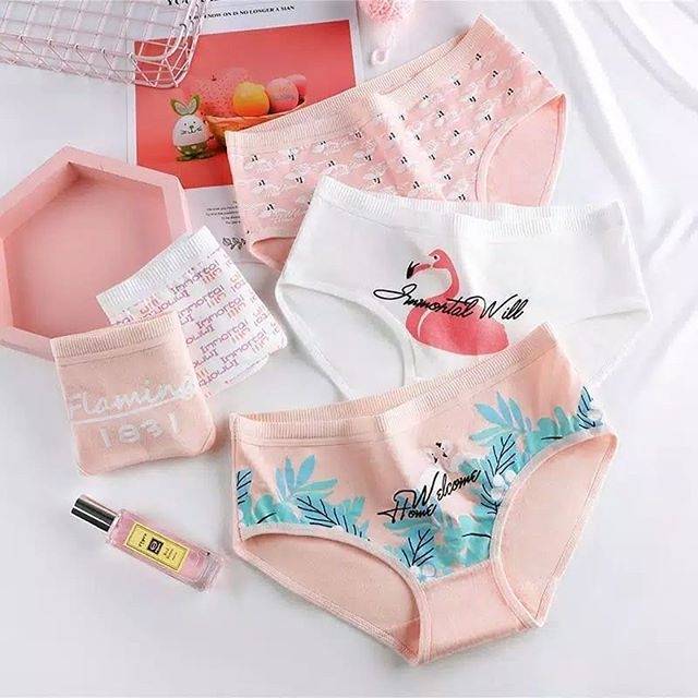 Celana Dalam Set 5pcs Underwear Wanita Flamingo Import Cotton size L Pakaian dalam wanita import