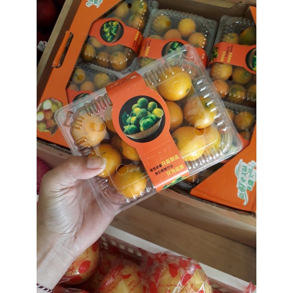 

Chat untuk tanya ketersediaan nya.Buah Jeruk Kimkit 400gram dan 500gram