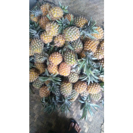 

Nanas madu