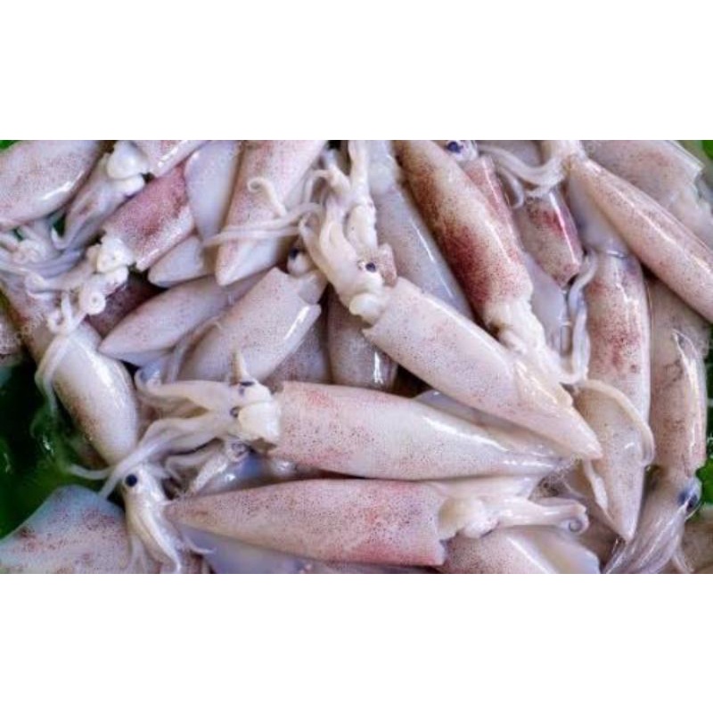 

CUMI CUMI PER 250 GR SAYUR SEGAR PALEMBANG