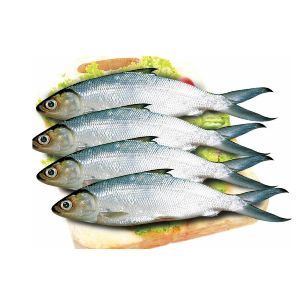 

Ikan Bandeng (500 gr)