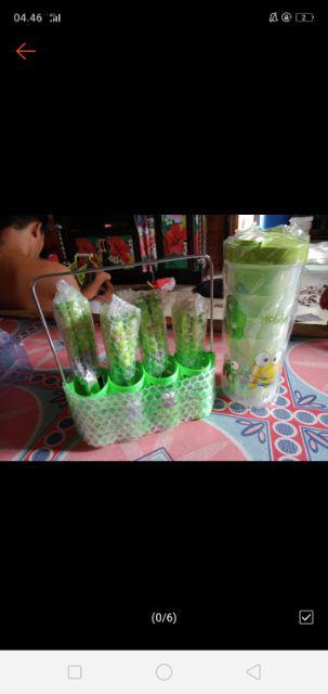 Teko Beranak Karakter