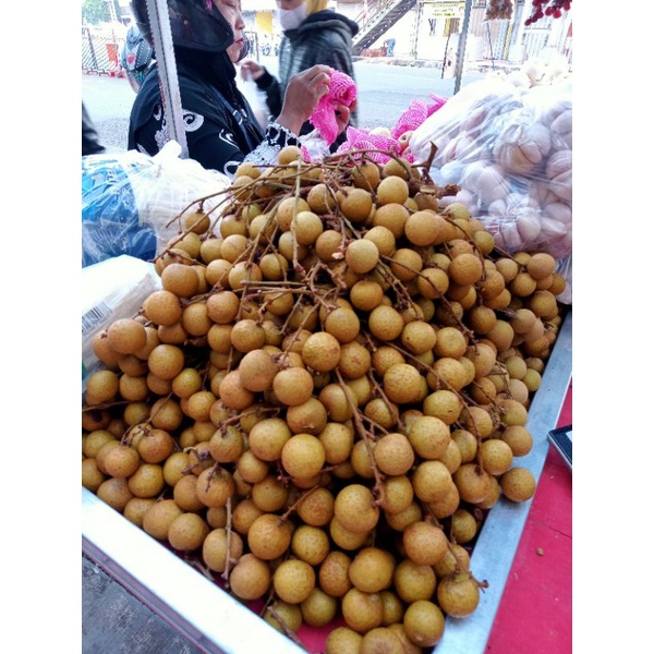 

klengkeng import