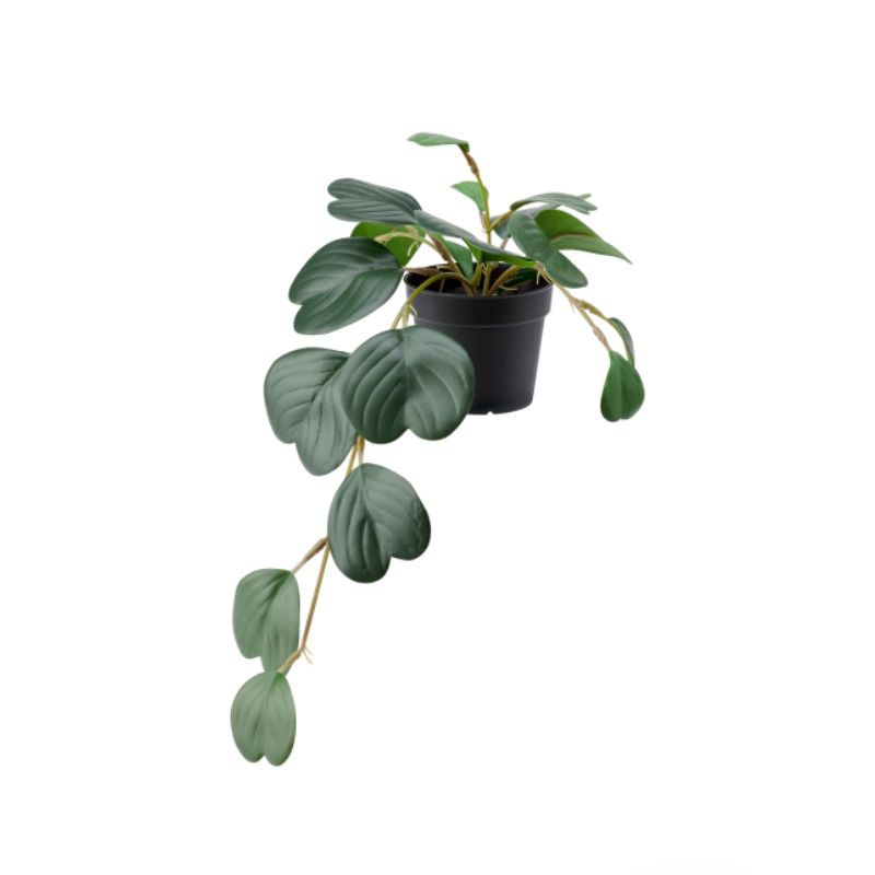 TANAMAN ARTIFICIAL PEPEROMIA /TANAMAN JUNTAI 40CM FEJKA