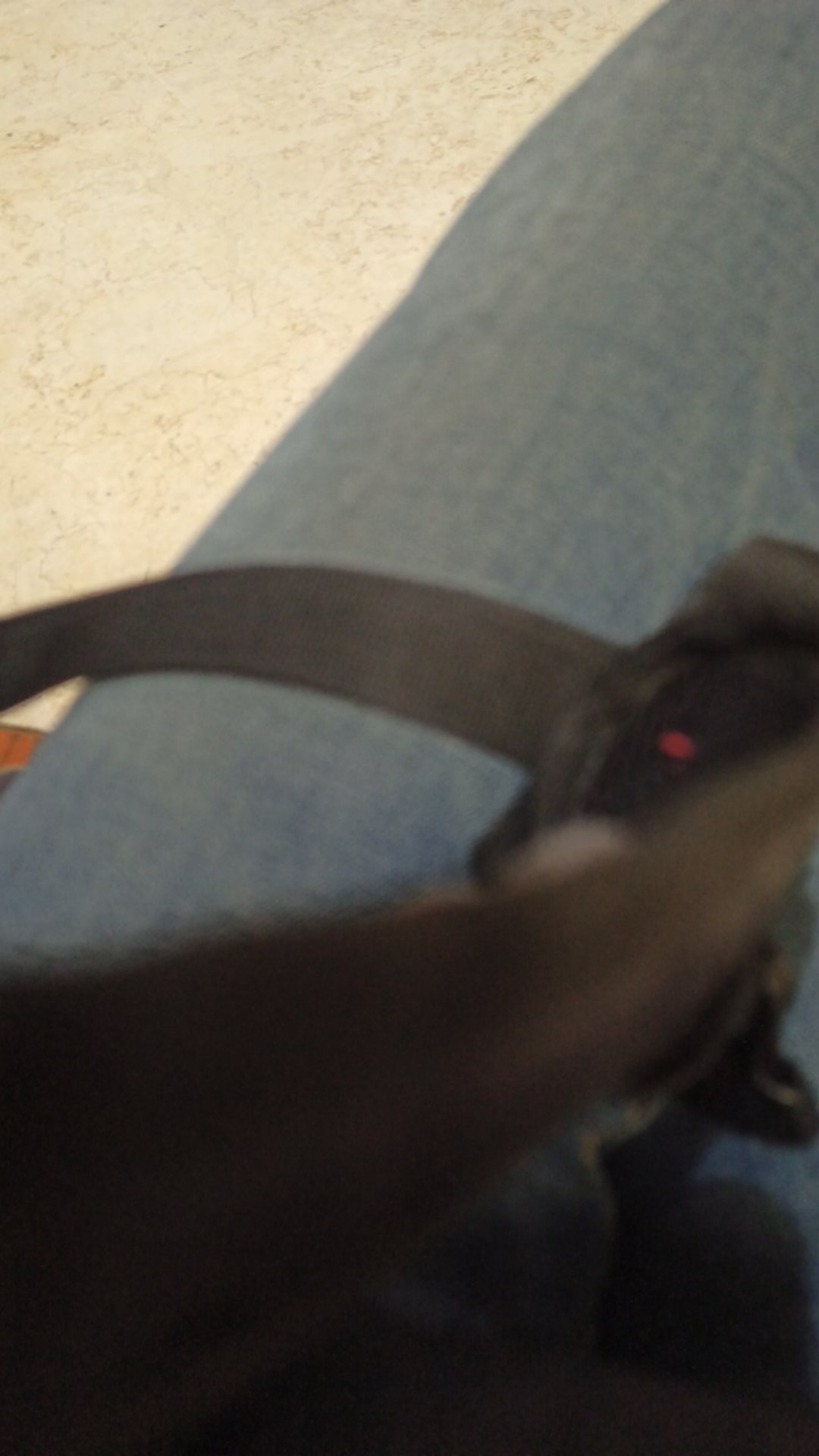 Cod (bayar Ditempat) Kelambu Butterfly 180 & 200cm/kelambu Tenda Anti Nyamuk/mudah Dilipat Guwllst88