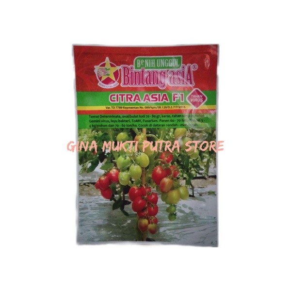 Benih Citra Asia Benih Tomat