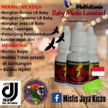 multivitamin Baby mistis Lovebird dj jaya vit LB konslet bongkar karakter paud